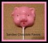603 Pig Face Chocolate or Hard Candy Lollipop Mold